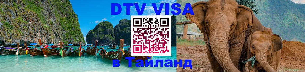 Сколько стоит DTV виза — актуальные цены, оформление даже без документов - 21.11.2025 